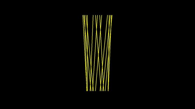 A bundle of uncooked spaghetti pasta strands against a black background, representing Italian cuisine.