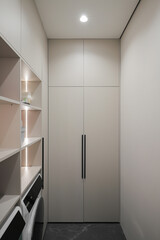 Fototapeta premium Modern minimalist apartment wardrobe closet