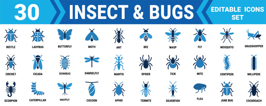 Set of 30 blue insect and bug icons including beetle ladybug butterfly bee spider and scorpion design Vector, illustration Minimal solid vector icon set bundle collection.Mega pack