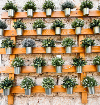 Vertical garden wall with rows of metal pots with green plants on wooden lattice shelf against rustic limestone stone wall, Mediterranean decor