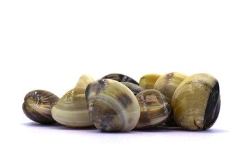 Closed up fresh baby clams. venus shell. shellfish. carpet clams. Food from nature. as raw food from the sea are the seafood ingredients. fresh clams isolated on white background © Pisan