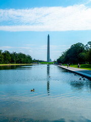 Obraz premium A vertical view of the Reflecting Pool in Washington DC