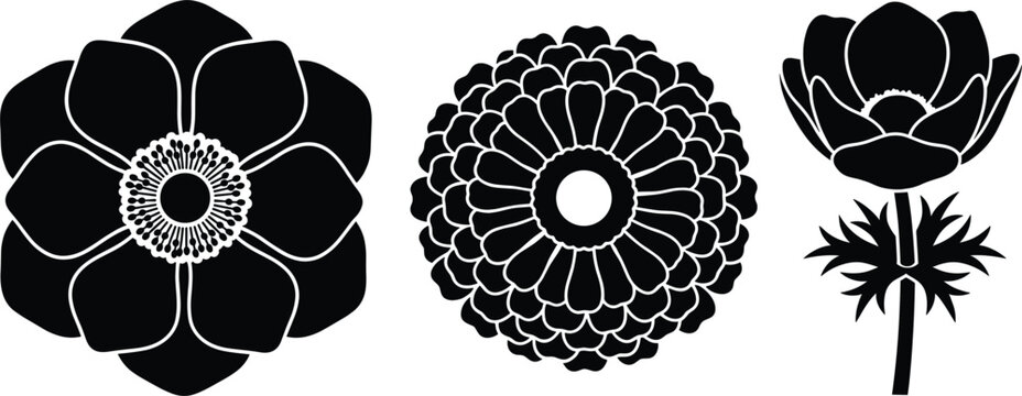 Solid black anemone flower silhouette vector set with geometric marigold head icons