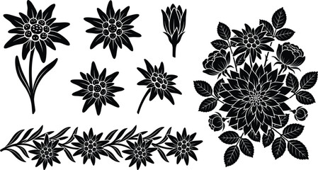Fototapeta premium Solid black alpine edelweiss silhouette vector set with decorative flower border and dahlia bouquet
