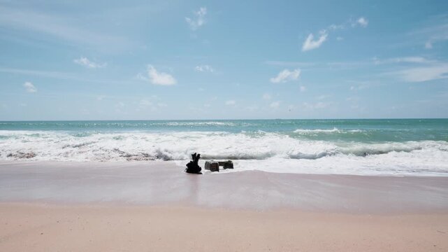 White sand stretches to the ocean's edge. Turquoise waves crash against the shore. Blue sky with clouds above. Dog splashes in the surf. Perfect for summer vacation content. Slow motion shot.