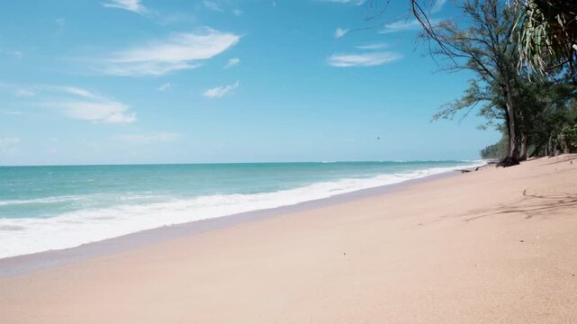 Sandy beach meets turquoise ocean waves. Clear blue sky with soft clouds above the water. Gentle white waves roll onto the shore. Tall palm trees shade the beaches edge