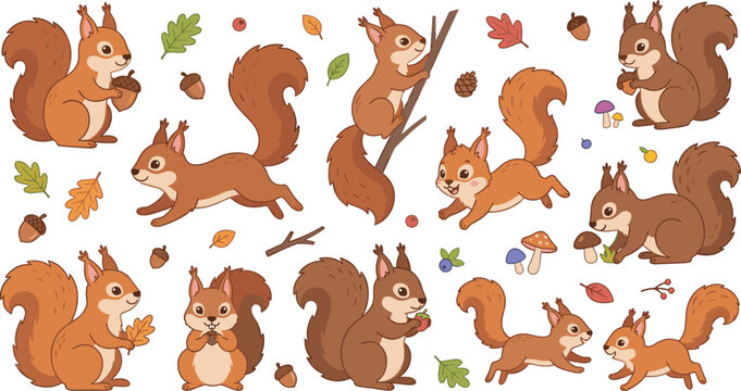Cute squirrel character vector illustration collection set with little squirrels eating acorns climbing tree running and gathering autumn forest mushrooms and foliage