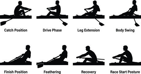    Silhouette Set of Rowing Technique Phases Showing Proper Posture and Movement Sequence © MdSazzad