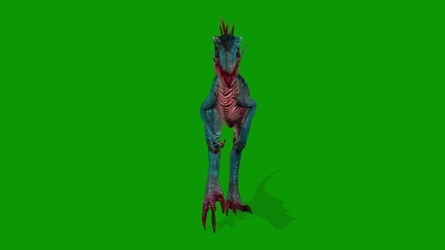 Realistic Dinosaur Raptor Walking Front 3D Render Animation with Green Screen.mp4