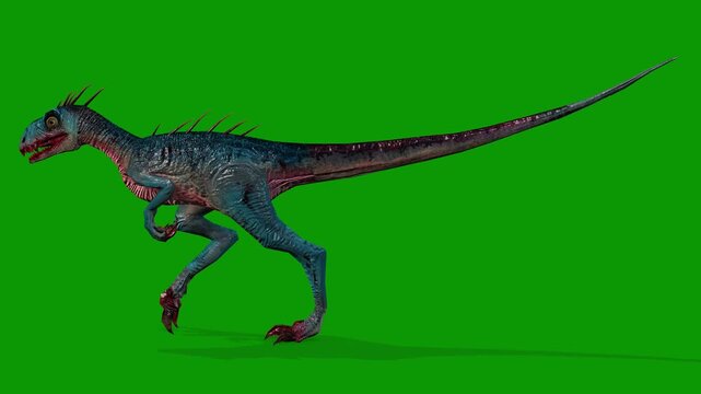 Realistic Dinosaur Raptor Walking Left 3D Render Animation with Green Screen.mp4