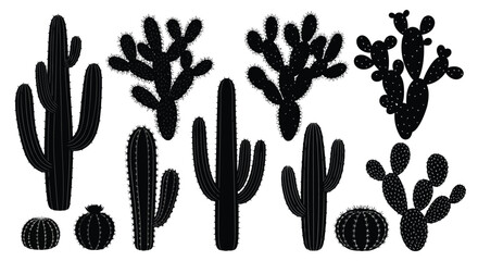 Black cactus silhouettes on white background © NurJahan
