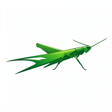 grasshopper on a white background
green grasshopper isolated on white
green grasshopper on white background