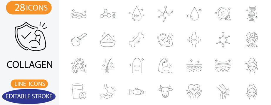 Collagen and skin health line icons. Vector hyaluronic acid, vitamin C, and protein powder symbols with editable stroke.
