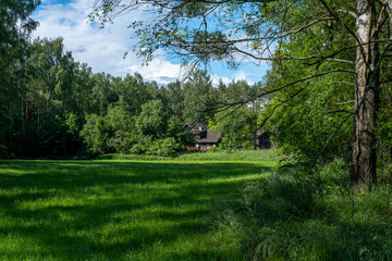 Tranquil rural scenery showing a green summer meadow leading to a wooden house surrounded by a dense forest. © olga