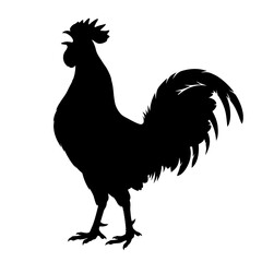 Black rooster silhouette, vector rooster icon, chicken symbol, farm animal logo © manoara
