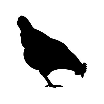 Black chicken silhouette, bird icon, poultry illustration, farm animal graphic