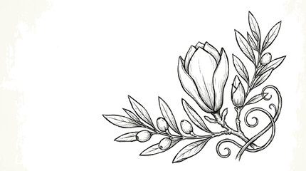 Vintage hand drawn magnolia flower and olive branch vector, elegant floral sketch illustration, botanical line art for wedding invitation © Creative_Shahanaj