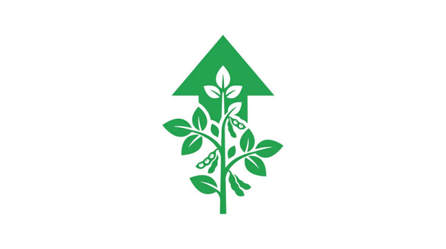 Green soybean plant growing upward with arrow symbol for sustainable agricultural growth and positive economic development in food industry vector design