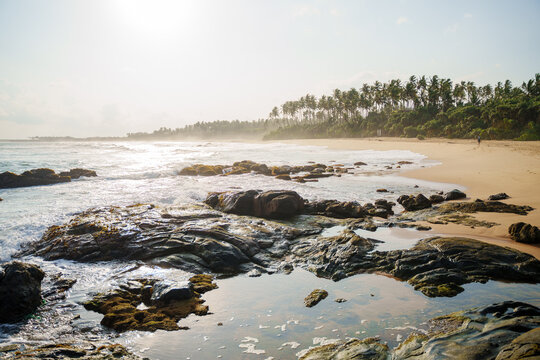 Rekawa virgin beach at sunset. Travel Sri Lanka