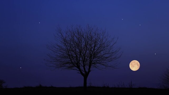 Full Moon on a twilight sky with landscape and tree silhouettes.