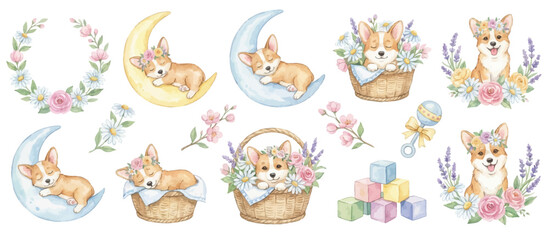 Obraz premium Cute corgi puppy watercolor nursery clipart with floral accents. Collection of Vector illustrations for invitation, card, poster, banner, decoration 