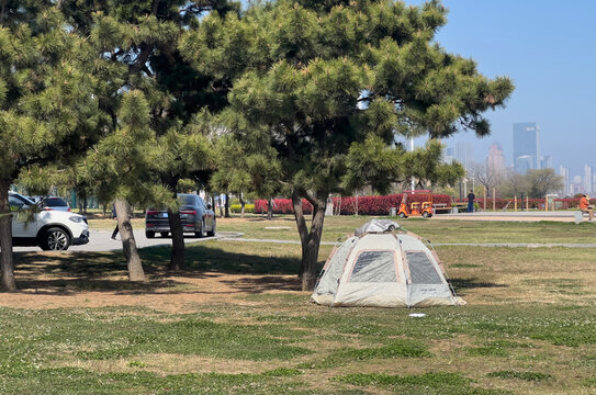Small camping tent under pine trees in a spacious urban park with a modern city skyline in the background