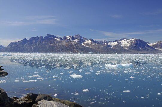 Icebergs floating in crystal clear water with mountains in the background under a blue sky, Knud Rasmussen Glacier, Tasilaq, East Greenland, Denmark