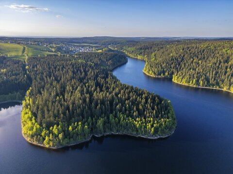 Aerial view, drone photo: spruce forest and beech trees at the Eibenstock drinking water reservoir, Ore Mountains, Saxony, Germany