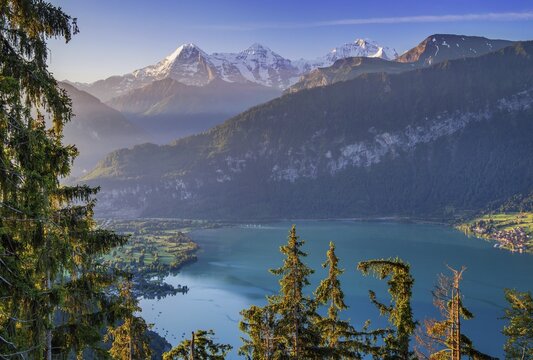 Eiger triumvirate with the Eiger north face, M&ouml;nch and Jungfrau above Lake Thun in the early morning sun, Beatenberg, Bernese Alps, Bernese Oberland, Canton Bern, Switzerland