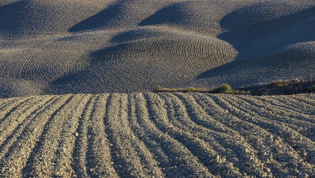 Hilly and ploughed field, near Asciano, Tuscany, Italy