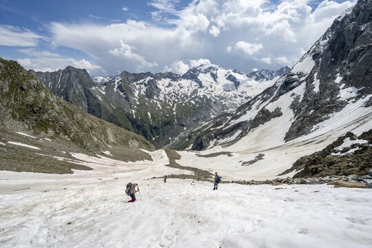 Mountaineers hiking in a snowfield, N&ouml;rdliche M&ouml;rchnerscharte, behind mountain peak Kleiner M&ouml;rchner and Greizer Spitze with snow, Berliner H&ouml;henweg, Zillertal Alps, Tyrol, Austria