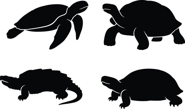 Set of detailed black silhouettes of various turtles and tortoises isolated on white background