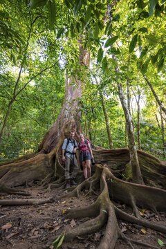 Young couple, tourists between the roots of a strangler fig (Ficus americana), in the tropical rainforest, Corcovado National Park, Osa, Puntarena Province, Costa Rica