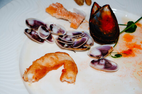 remains of coquinas al vino blanco with fried calamari on a plate