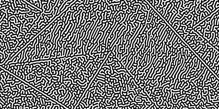Turing reaction diffusion monochrome seamless pattern with chaotic motion. Natural background with organic structures. Vector illustration of chemical morphogenesis concept. Curvy doodle labyrinth