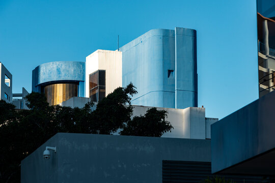 Curved blue facade rising above shaded tree canopy