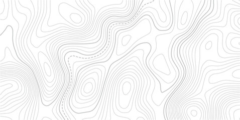 Fototapeta premium abstract wavy background. topographic contour background.Topo contour map on white background. Topo contour map on white background.Topo contour map. Rendering abstract illustration.
