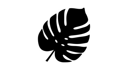 Monstera leaf silhouette vector, tropical deliciosa plant foliage icon, black botanical leaf shape on white background for minimalist design © Seli