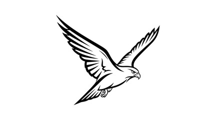 Fototapeta premium Black and white vector illustration of a majestic bird of prey in powerful flight, a soaring falcon or hawk with spread wings.