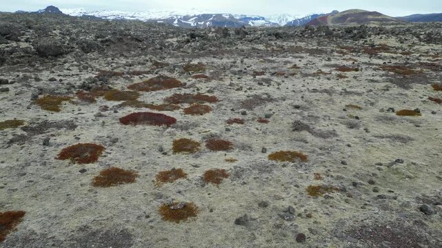 survol d'un champ de lave couvert de lichen en direction de montagnes enneig&eacute;es