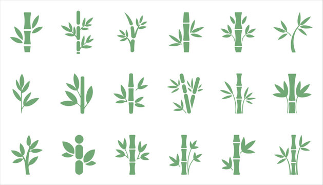 Organic bamboo plant leaf shape design element set with green stems