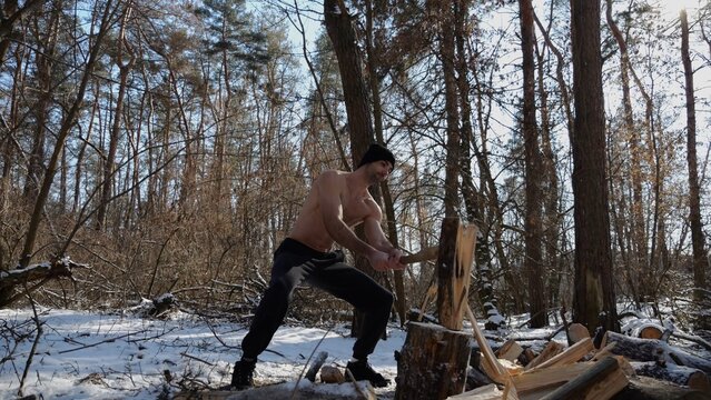 Shirtless strong man chopping firewood in a sunny winter forest. Muscular guy working with axe in snowy woodland. Concept of strength, masculine, energy and harmony with nature during cold season