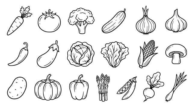 Organic fresh vegetables line art icon collection including tomato carrot broccoli pumpkin pepper onion mushroom cabbage and potato vector