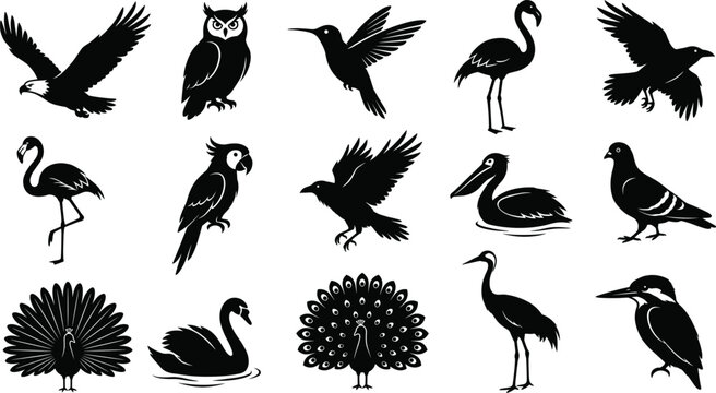 Diverse Flying Bird Silhouette Icon Collection with Eagle Owl and Peacock Symbols for Nature Wildlife and Graphic Design Projects