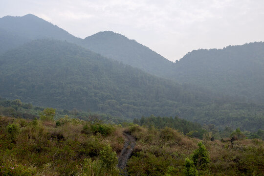 Beautiful mountain landscape view with wild yellow flowers meadow and green trees under clear sky, Guntur Mountain in Garut, Indonesia.