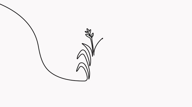 Rice plant icon in continuous line art style for 4k animation video background