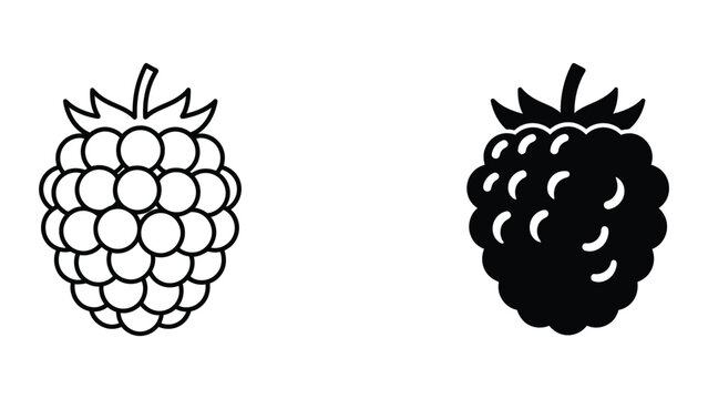 Fresh organic raspberry fruit vector icons in line and solid style
