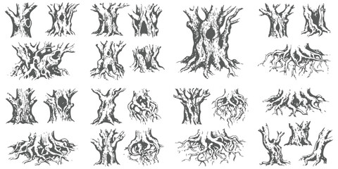Set of hand drawn tree trunks and roots in sketch style for forest nature design and wood texture elements © ZenVectors