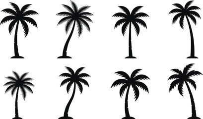 Fototapeta premium Black and white palm tree set in four rows