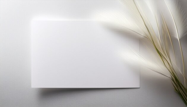 Crisp Matte White Paper With A Soft Luminescence Card Background
